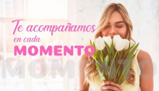 tiendas para comprar olivos cali Floristerias en Cali Ebenezer- envía flores en Cali