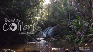 lugares para acampar en cali Bosque Colibrí - Reserva Natural