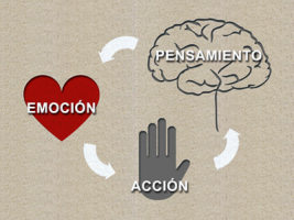 cursos terapia psicologica cali Psicólogos Psicoterapeutas- Centro Integral de Profesionales en Salud Mental y Salud Emocional- Asociación Sanamente