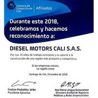 reparaciones de bombas de inyeccion diesel en cali Diesel Motor's Cali