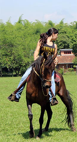 horse riding in cali Valley Adventours