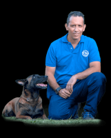 clases adiestramiento perros cali Escuela Canina Diestros