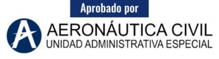 Certificado No: UAEAC-CCI-100