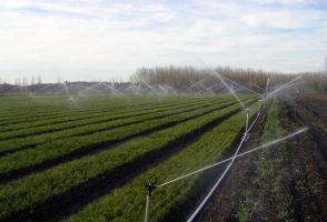 tiendas de control de plagas en cali Fumigación & Extintores