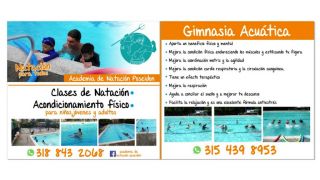 clases natacion adultos cali Academia De Natación Poseidon