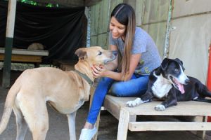 masias con animales en cali Fundación Paraiso De La Mascota