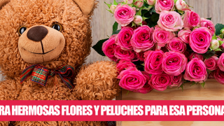 tiendas peluches cali Tienda de peluches Cali