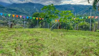 residencias canina cali Hotel Canino Cali