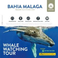 tourism courses in cali Valley Adventours